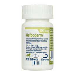 Cefpodoxime Proxetil for Dogs  Dechra Veterinary